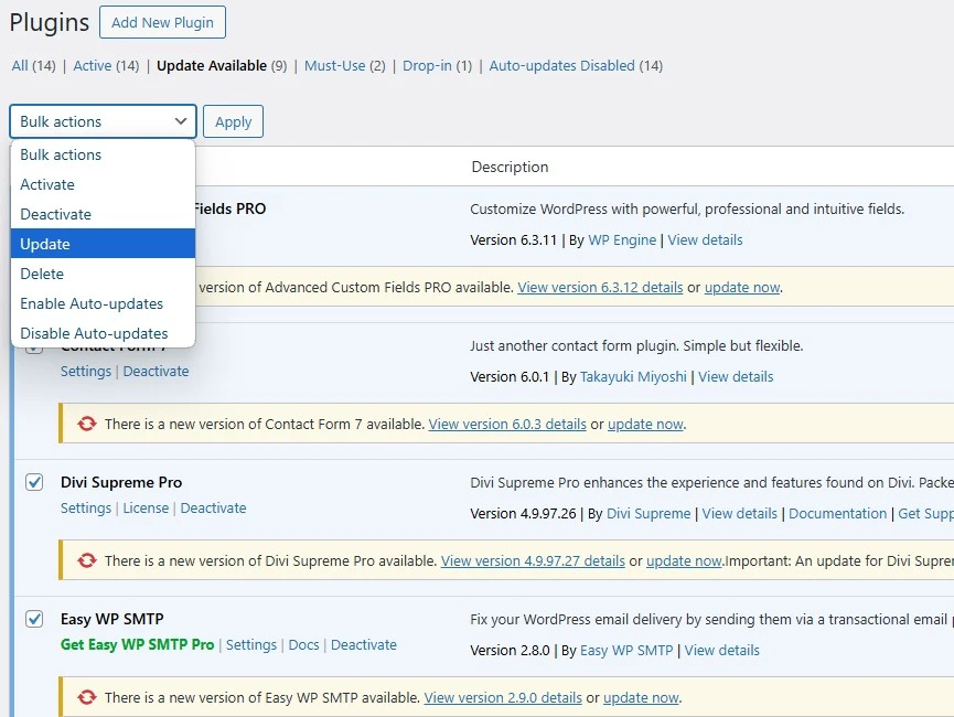 bulk wordpress plugin update list